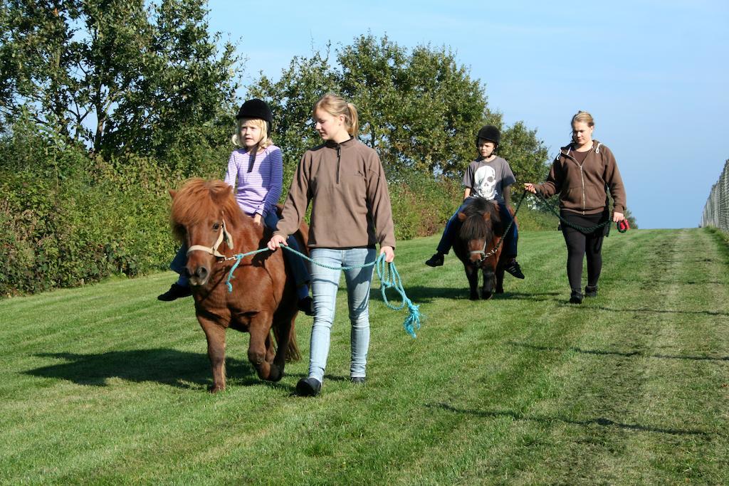 Camp Hverringe Dalby Ngoại thất bức ảnh